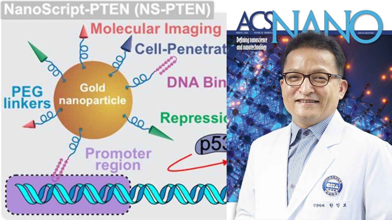 [이달의 논문] 한인보, 안성배 NanoScript-Enabled Nonviral Transient Repression of Phosphatase and Tensin Homolog for Axonal Regeneration and Central Nervous System Injury Repair(ACS Nano)